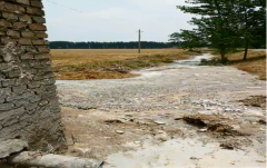 <b>厂院堆积大量沙子</b>