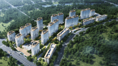 避免利用“有毒花草”(如夹竹桃、一品